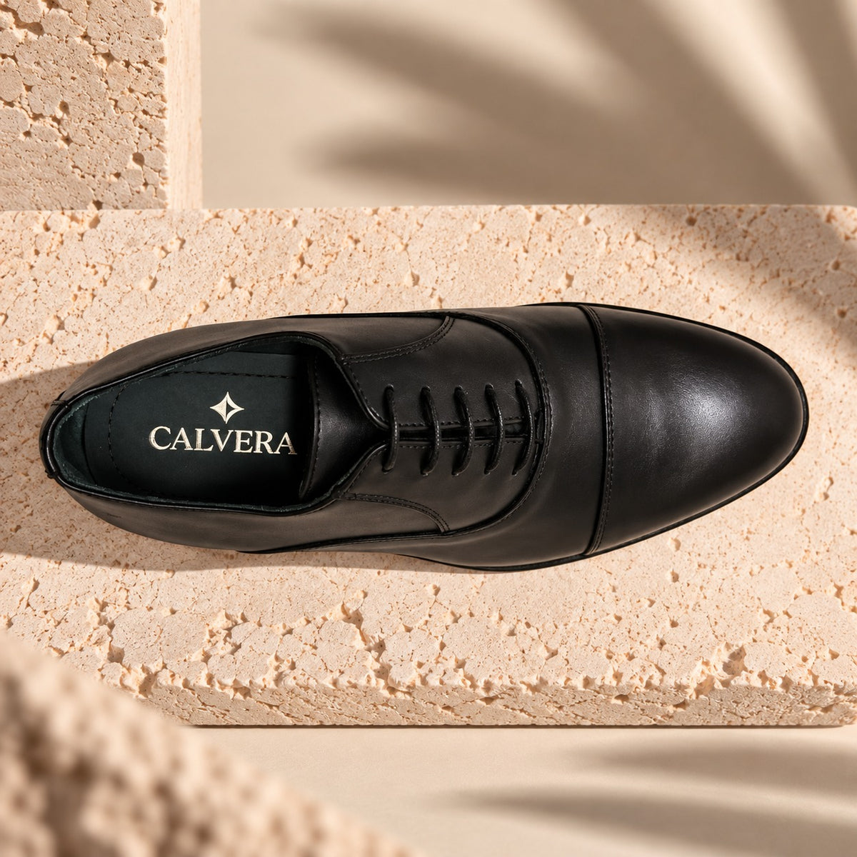 Calvera Oxford